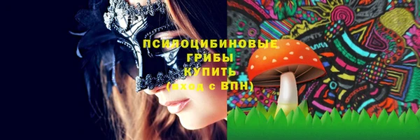 дурь Алексин