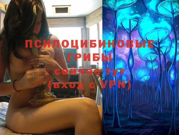 МДПВ Алексеевка