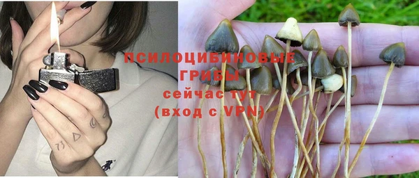 МДПВ Алексеевка