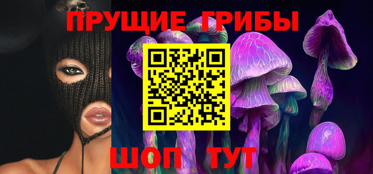 Псилоцибиновые грибы GOLDEN TEACHER  Галлюциногенные грибы GOLDEN TEACHER  Вход с VPN  Кондопога 