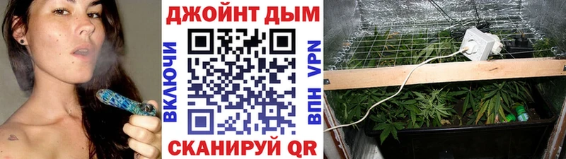 Каннабис MAZAR  Кондопога 